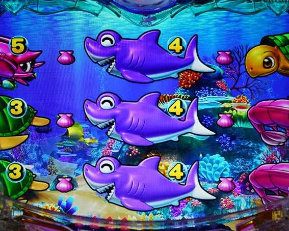 大海物語5　偶数