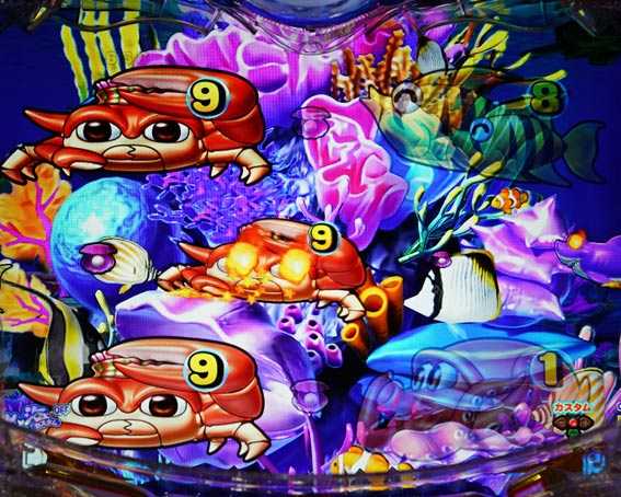 大海物語5　BIG珊瑚礁