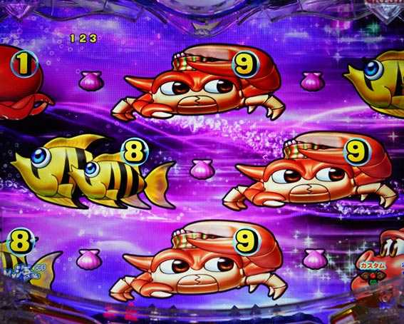 大海物語5　高速当り煽りゾーン