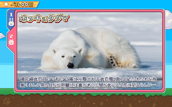 アニマルスロットドッチ 演出 REGULAR BONUS中のキャラ紹介について