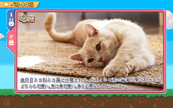 アニマルスロットドッチ 演出 REGULAR BONUS中のキャラ紹介について