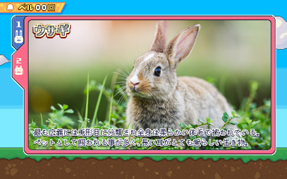 アニマルスロットドッチ 演出 REGULAR BONUS中のキャラ紹介について