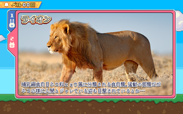 アニマルスロットドッチ 演出 REGULAR BONUS中のキャラ紹介について