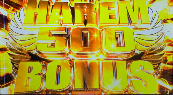 翔べ!ハーレムエース かんたん初打講座 ボーナスについて