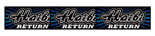 ハイビリターン-30 配当表