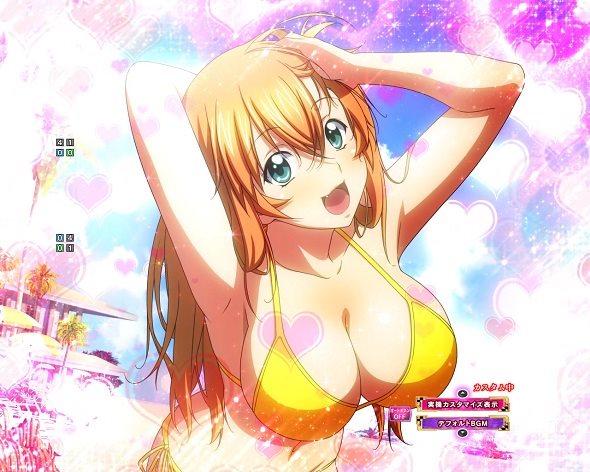 e真・一騎当千～軍神覚醒～396ver. カスタマイズ機能 カスタマイズ機能