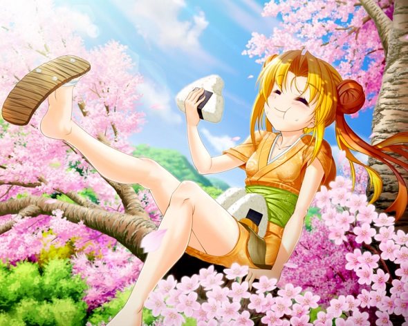 P戦国乙女7 終焉の関ヶ原 注目演出 4大注目演出