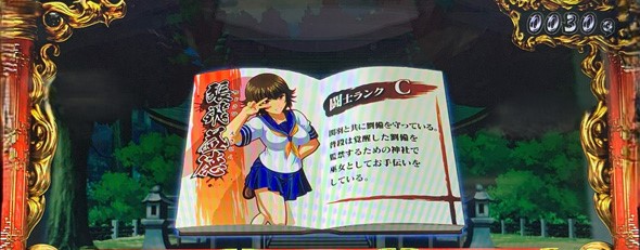 L 真・一騎当千 演出 キャラ図鑑演出について