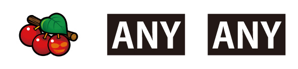 てぃだどんどん 配当表