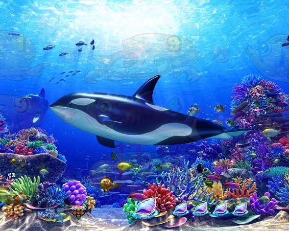 P海物語 極JAPAN 海モード中の演出 予告・リーチ演出