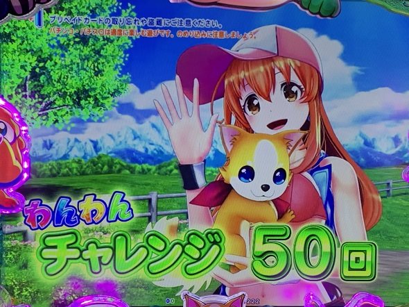 eACわんわんパラダイスCELEBRATION わんわんチャレンジ中の演出 モード概要(遊パチ 77ver.)