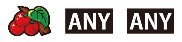 L主役は銭形5 配当表